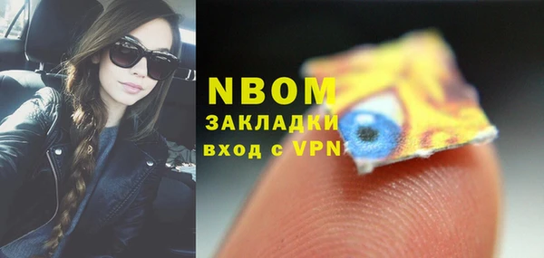 индика Аркадак