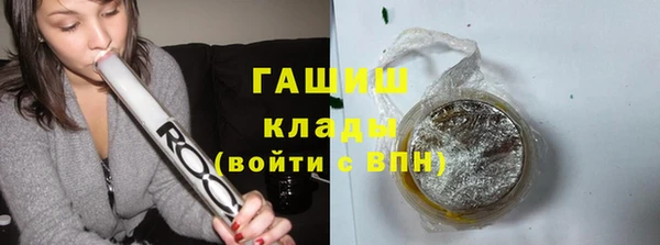 индика Аркадак