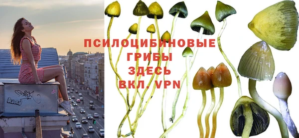 мяу мяу мука Алзамай