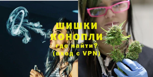 индика Аркадак