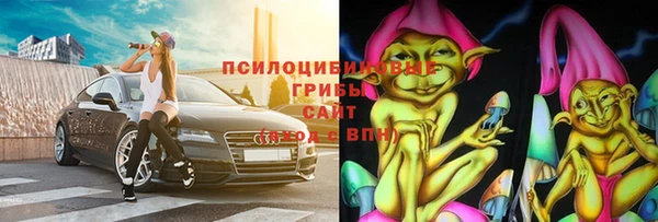 индика Аркадак