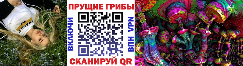 Псилоцибиновые грибы GOLDEN TEACHER наркошоп Дрезна